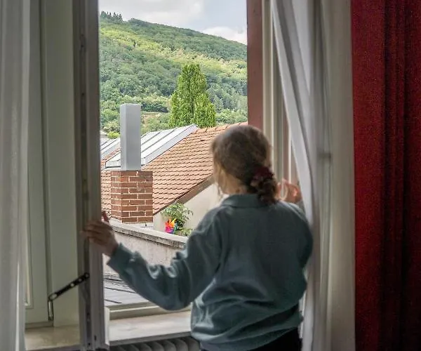 The Dubliner & Irish Pub Heidelberg