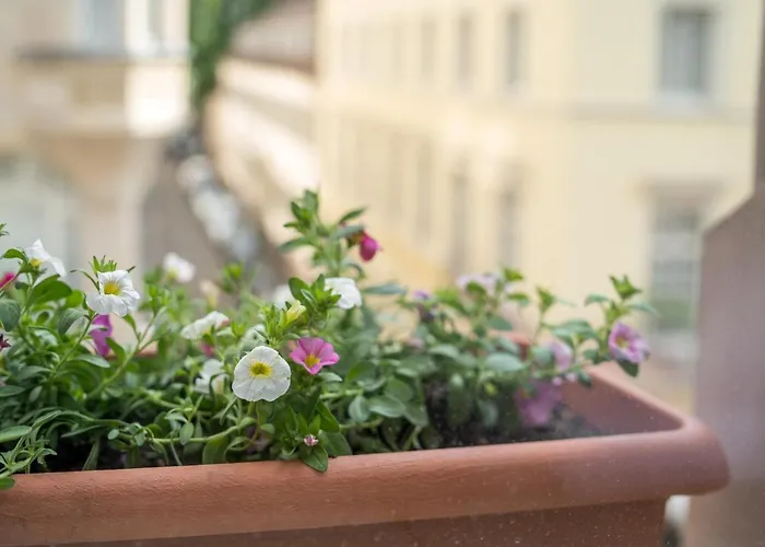 The Dubliner & Irish Pub Heidelberg