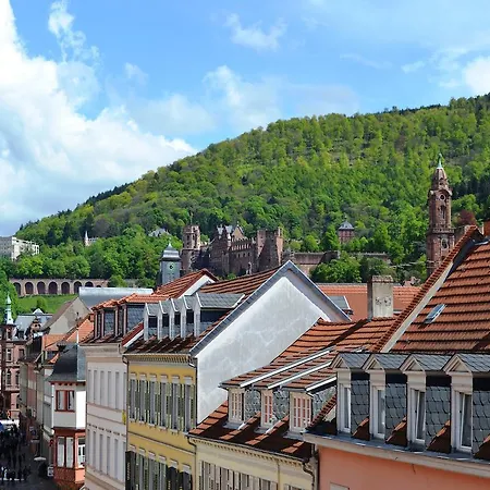 Casa de hóspedes The Dubliner & Irish Pub 3*