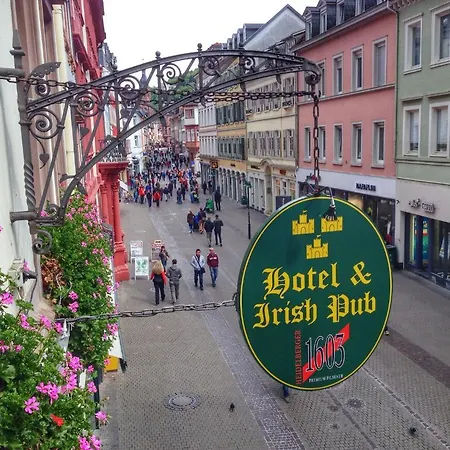 Casa de hóspedes The Dubliner & Irish Pub