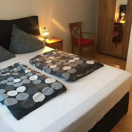 Guest house The Dubliner & Irish Pub 3*