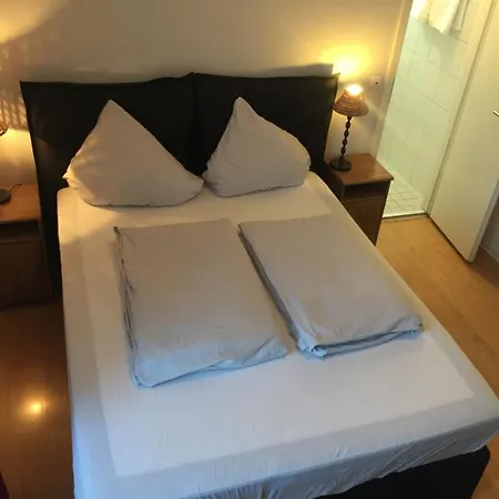 The Dubliner & Irish Pub Guest house 3*