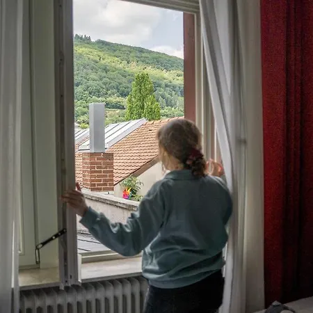 The Dubliner & Irish Pub Heidelberg