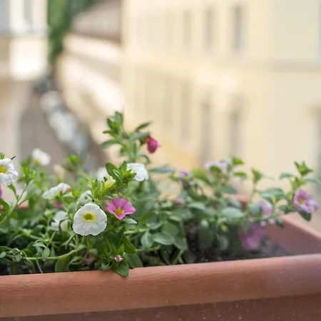 The Dubliner & Irish Pub Heidelberg